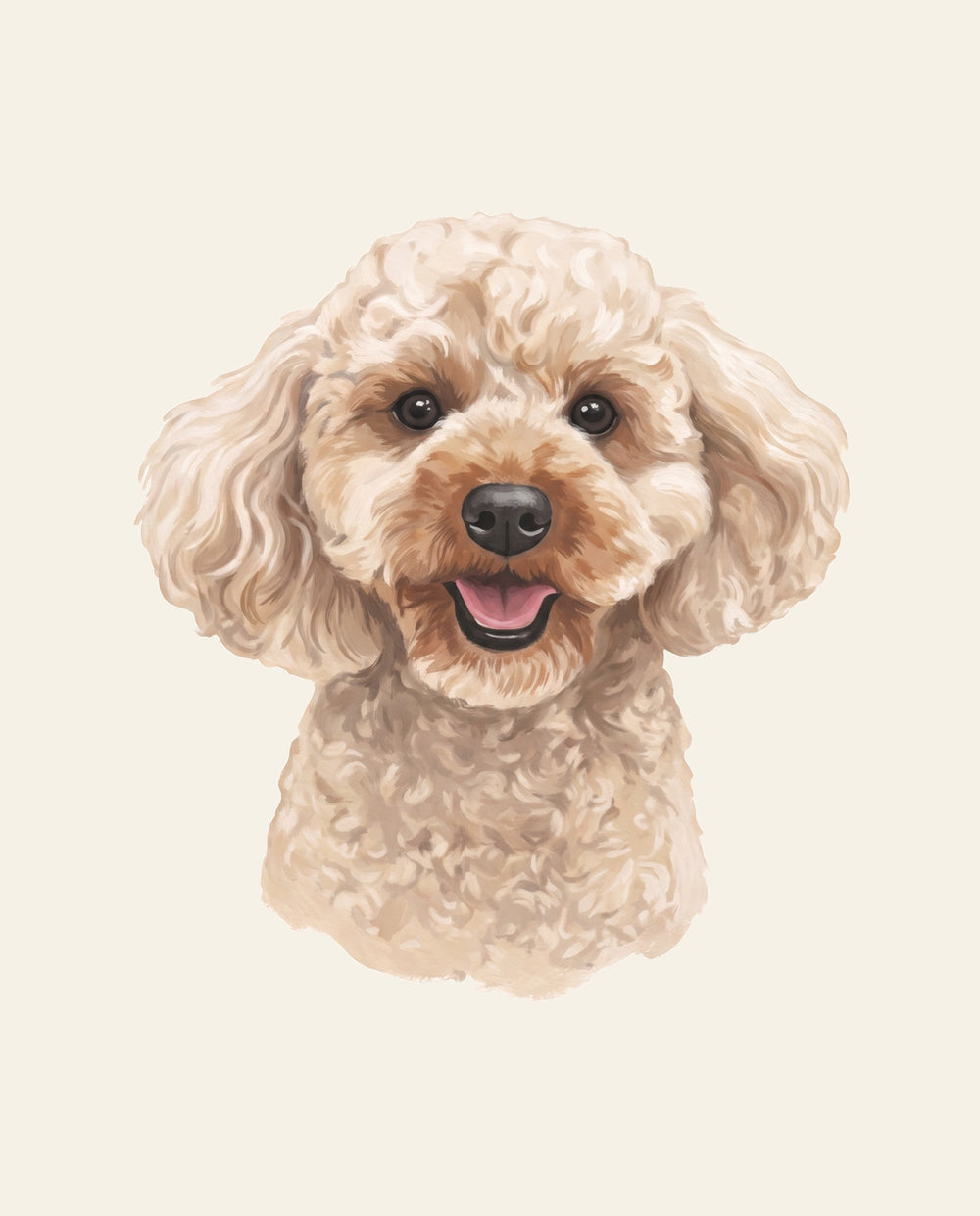 Hundporträtt av Molly, maltipoo med ljus lockig päls, mot varmvit bakgrund