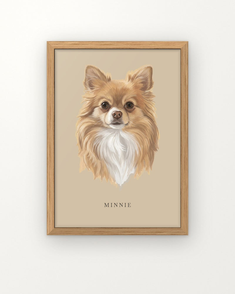 Samma chihuahua som inramat porträtt på väggen